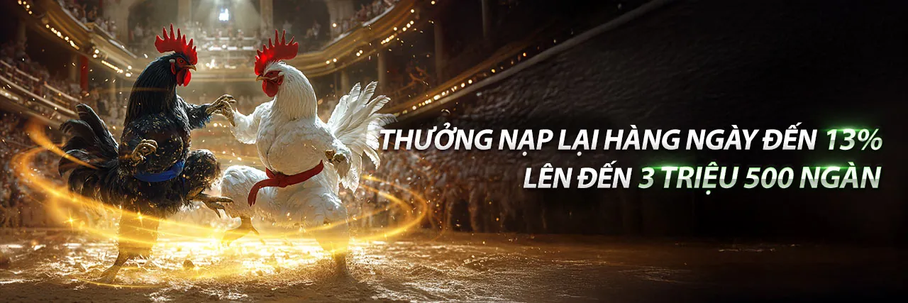 Tổng hợp các trò chơi cá cược tại rr888