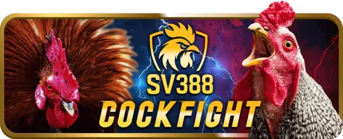 Trò chơi nổ hũ rr888